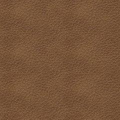 Bolsena Sofa Sleeper - One & Only Furniture