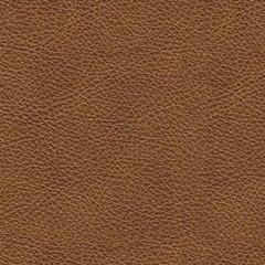 Carianna Loveseat - One & Only Furniture