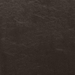 Kimonte Dining Chair - One & Only Furniture