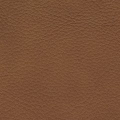 Magic Man 5-Piece Power Reclining Sectional - One & Only Furniture